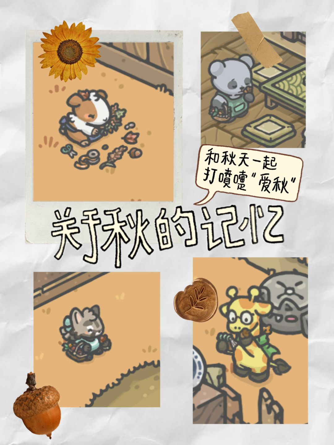 秋天也是掉毛的季节 1