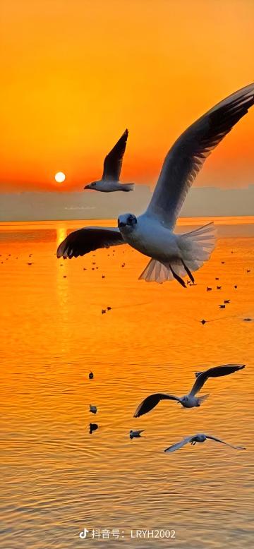 桃子力量新皮肤