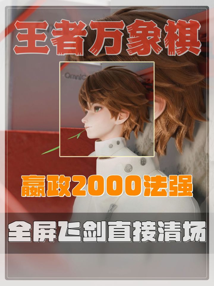嬴政全屏飞剑直接清场截图