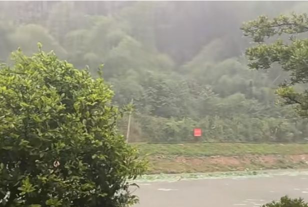 如此安静的夏天是孩童时期从未体验过的存在 3