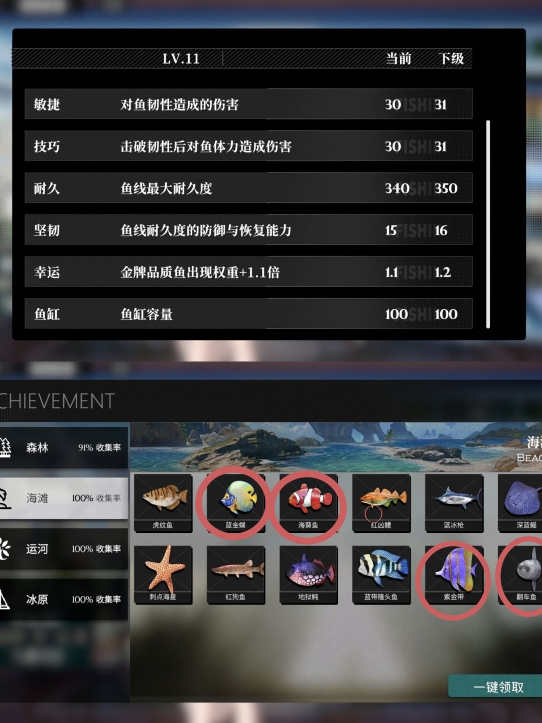 鱼池最佳搭配截图