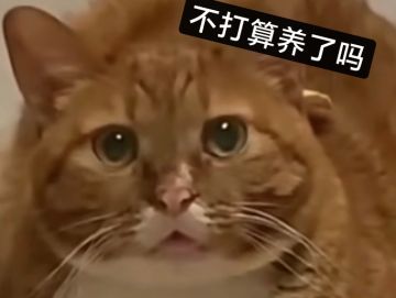 盲猜7月1号，图10更新，地形沙漠，核爆开图