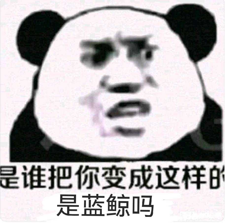 动态图片 4