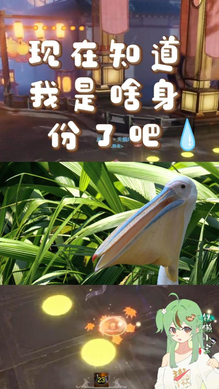 大嘴一张就是库库吃(饱嗝截图