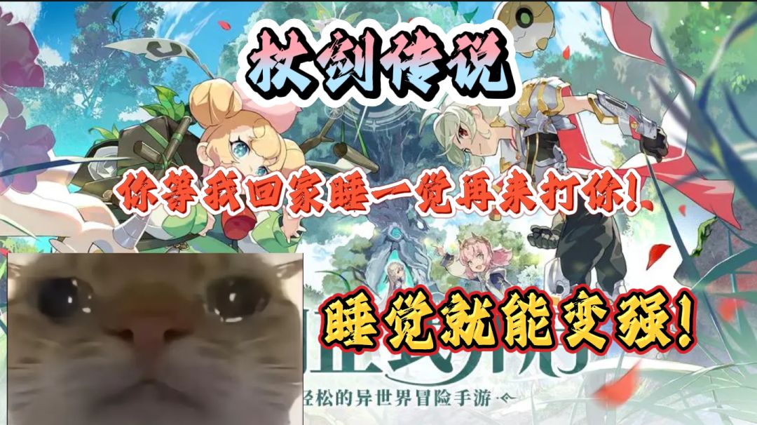 video-4982293