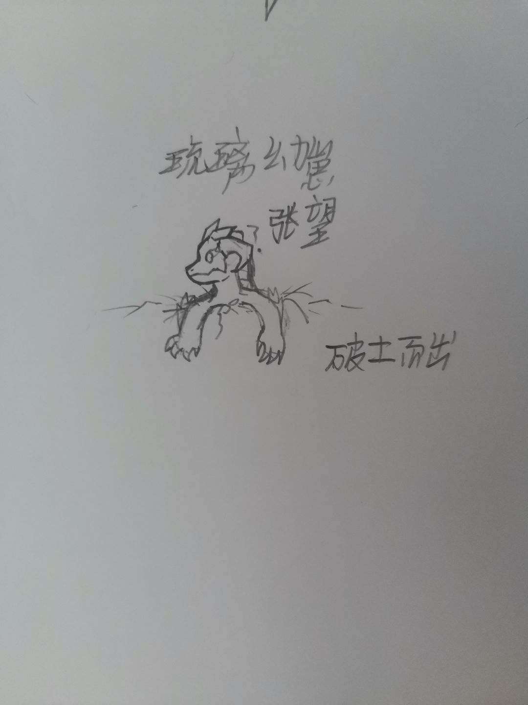 动态图片 3