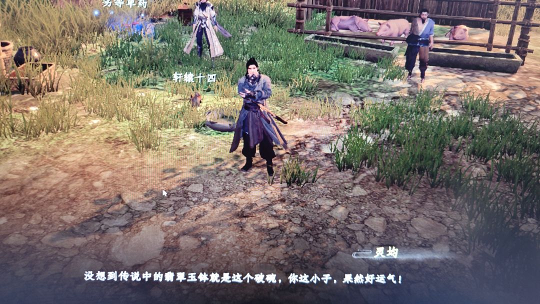 新手村的降龙。。。。。截图