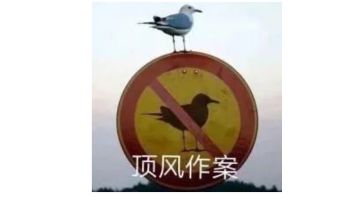 冰女小弟自爆流——从入门到入土