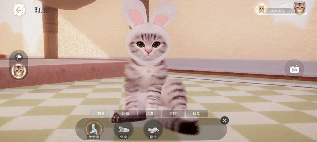 猫猫可爱～ 2