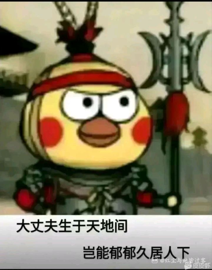 从开服到现在存了714点券了，再剩两级就够720了，是买吾行之的组合包合适，还是买战斗场景好一点截图