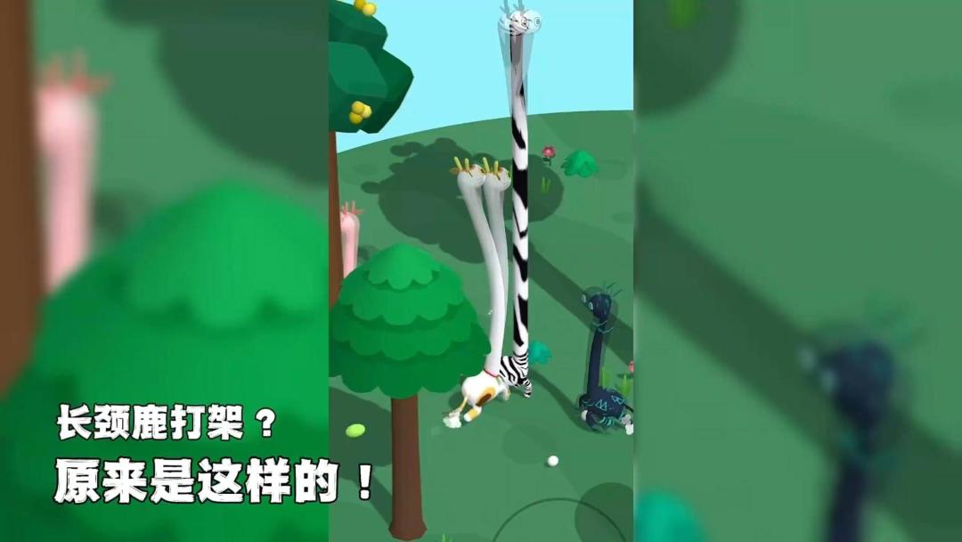 长颈鹿打架？原来是这样的！截图