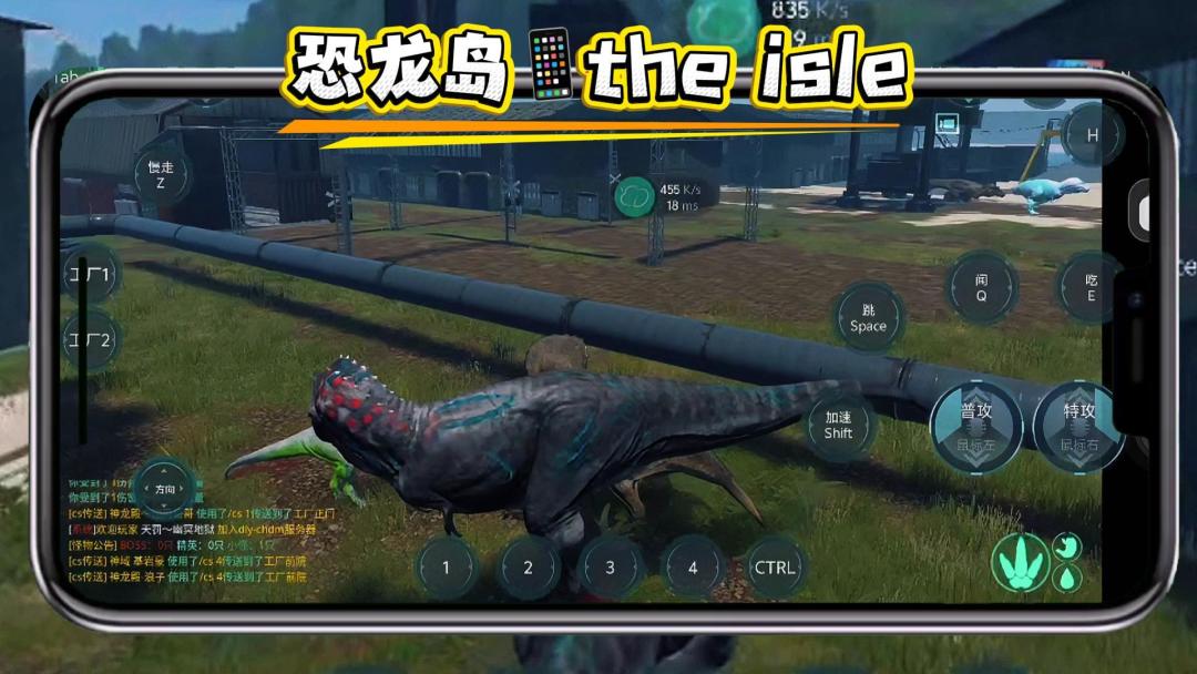 video-5784261