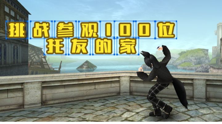 挑战参观100位托友的家(003)截图