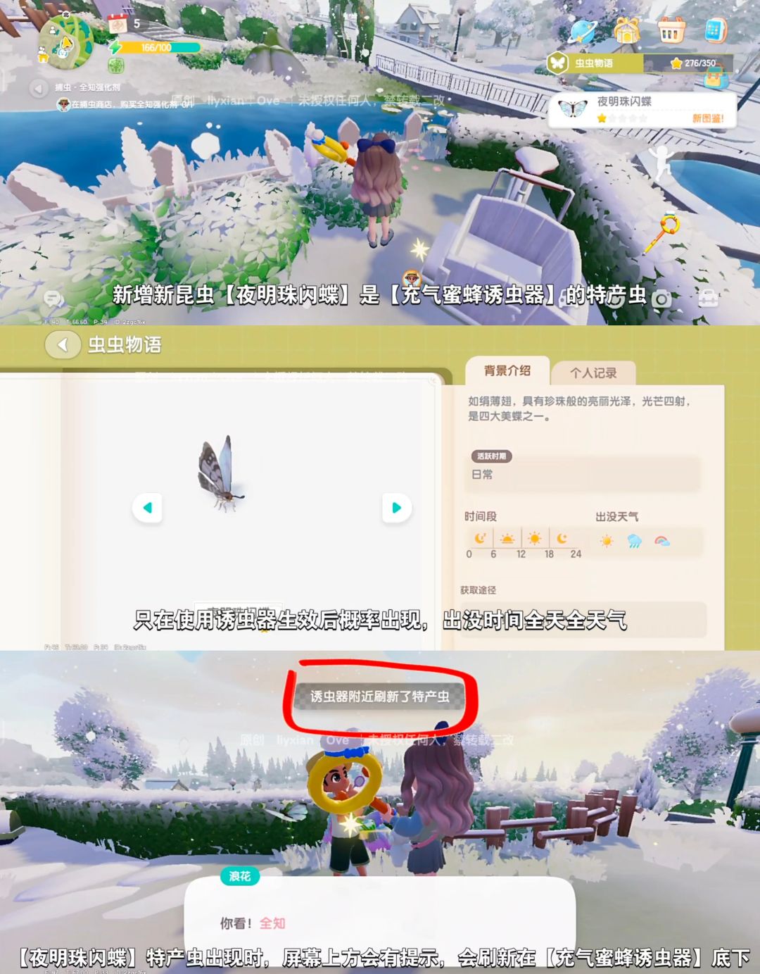 【心动小镇】捕虫爱好新道具和新昆虫 3