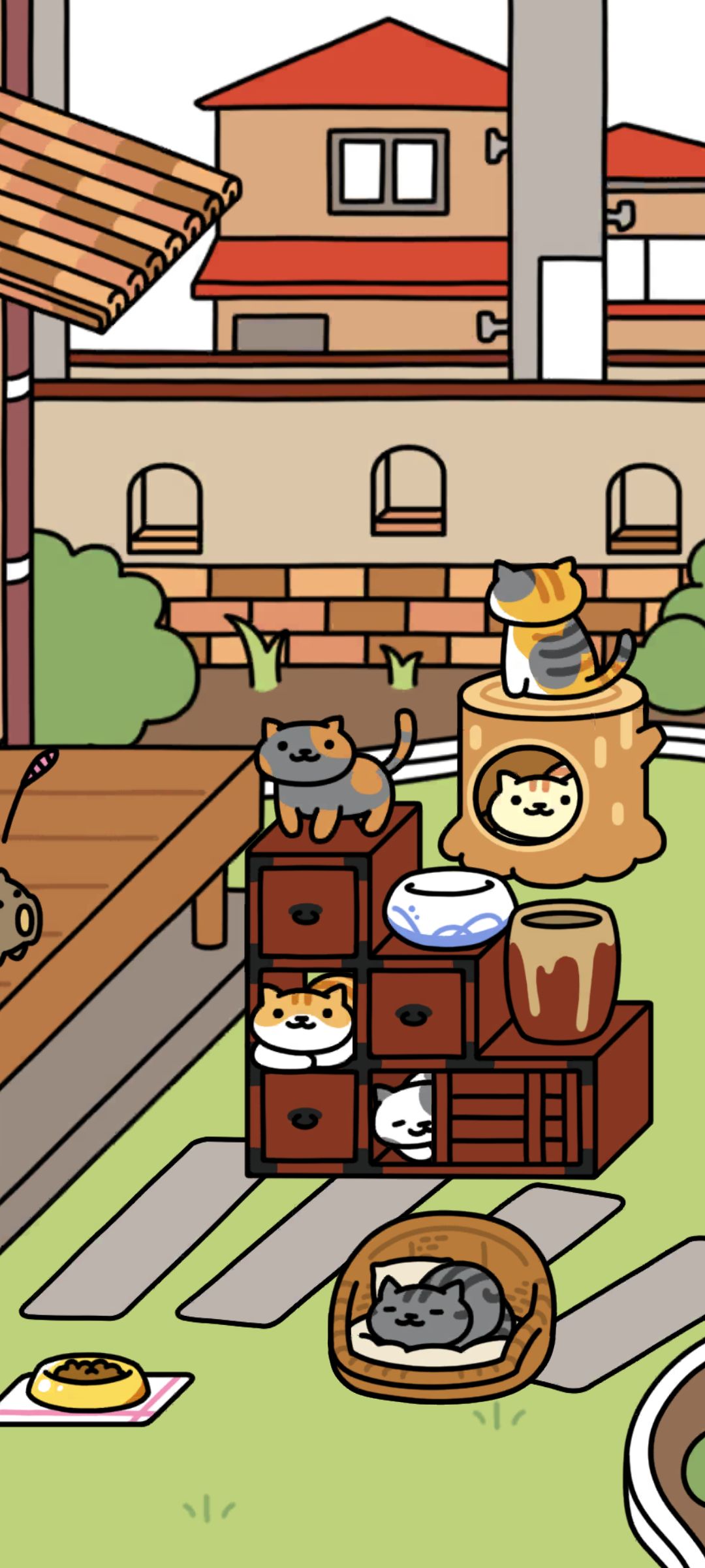 一起躲猫猫🐱～ 2