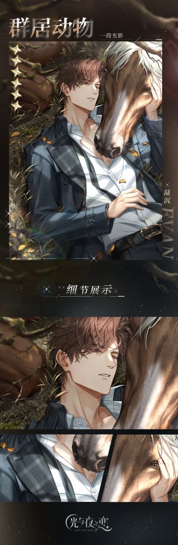 ✦陆沉・群居动物✦