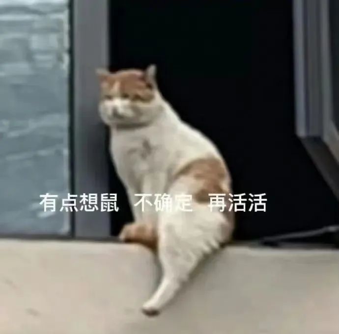 体力根本不够用啊 3