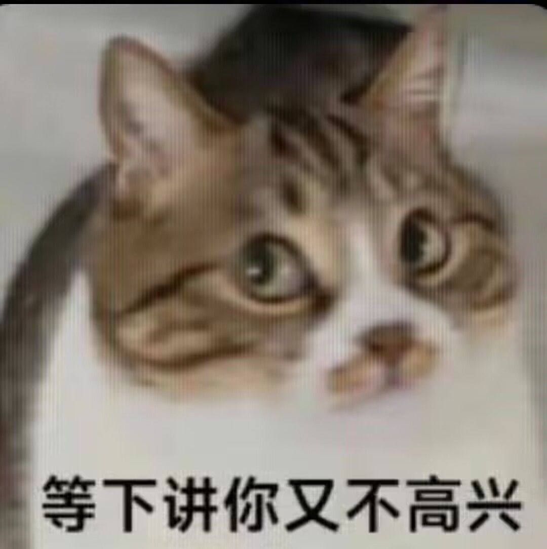啥时候出啊,一点消息没得 1