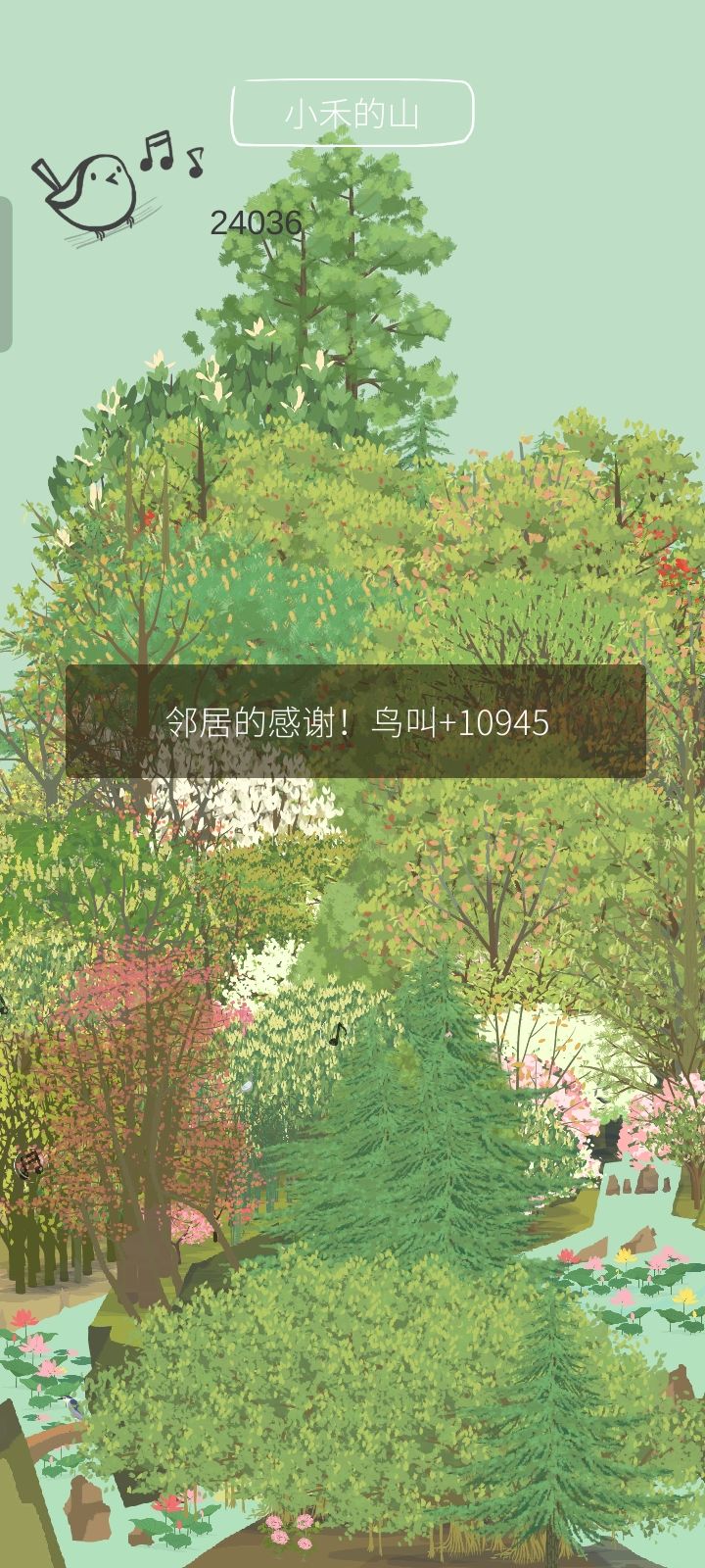 在小禾的山头收了好多鸟叫~ 1