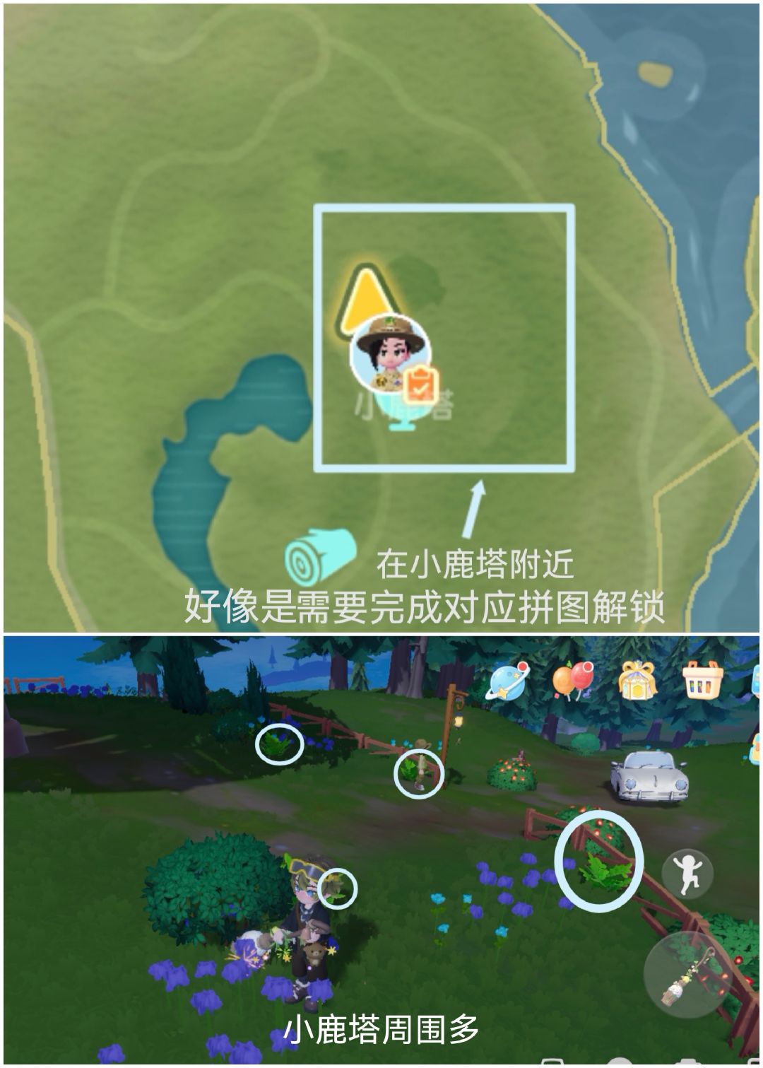 【心动小镇四个新采集野菜】 5
