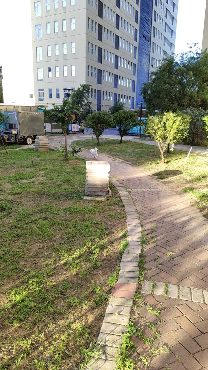 #今天游戏圈发生了啥
狗狗也要有自己的黑神话悟空玩,可以吗。截图