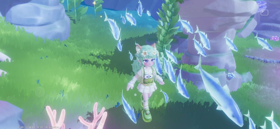 海底这里好美，感觉鱼群都在闪闪发光耶 2