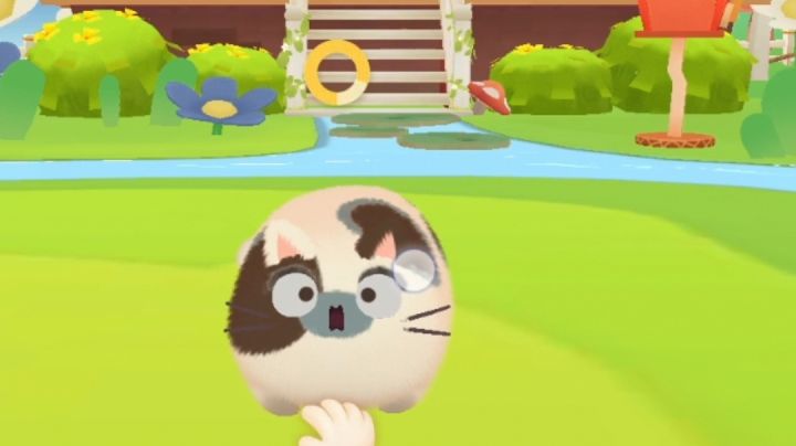 收到惊吓的猫崽们截图