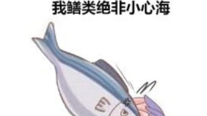 提瓦特工龄第二年截图