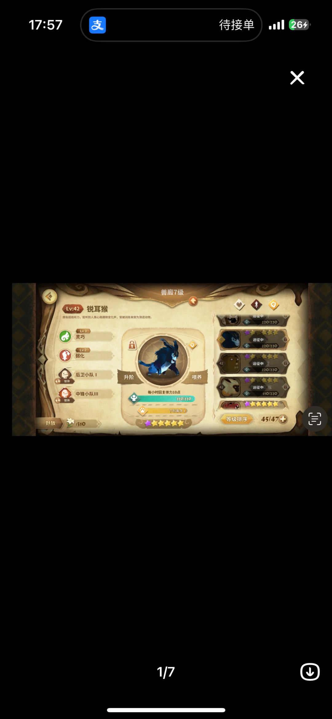 宠物技能怎么升级啊 2