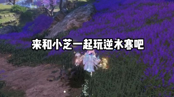 快来逆水寒一起守护碧血营!截图