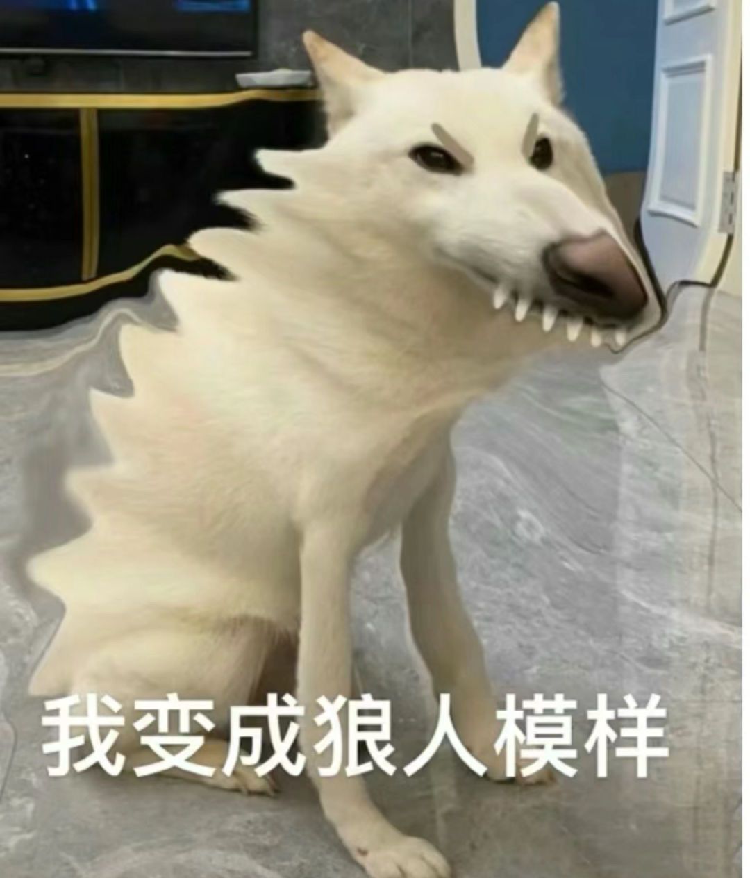 瑟图集合!他有狂妄的零,求赞让官爸出拳套 3