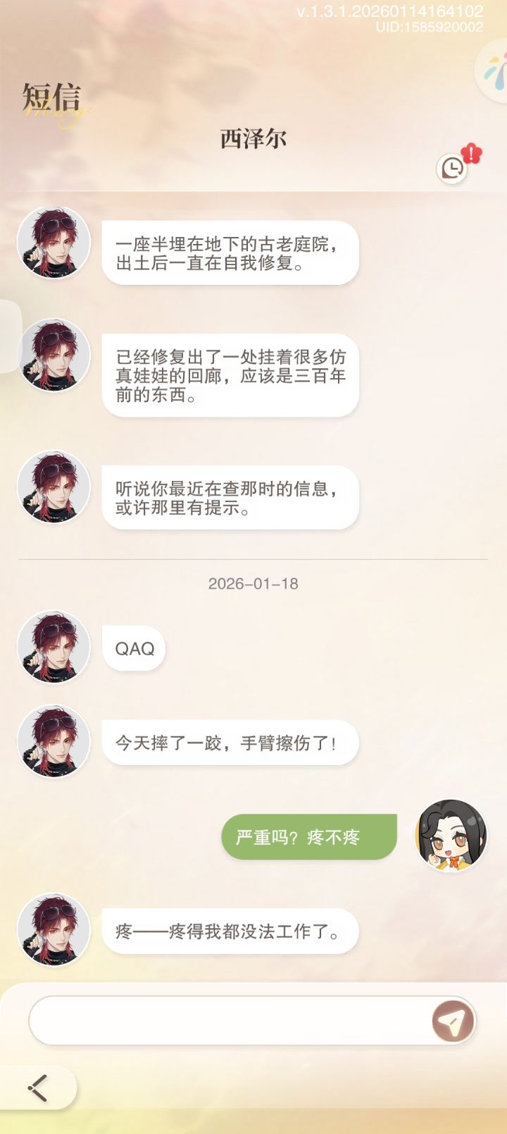 西泽尔这个聊天一点进去就卡死闪退截图