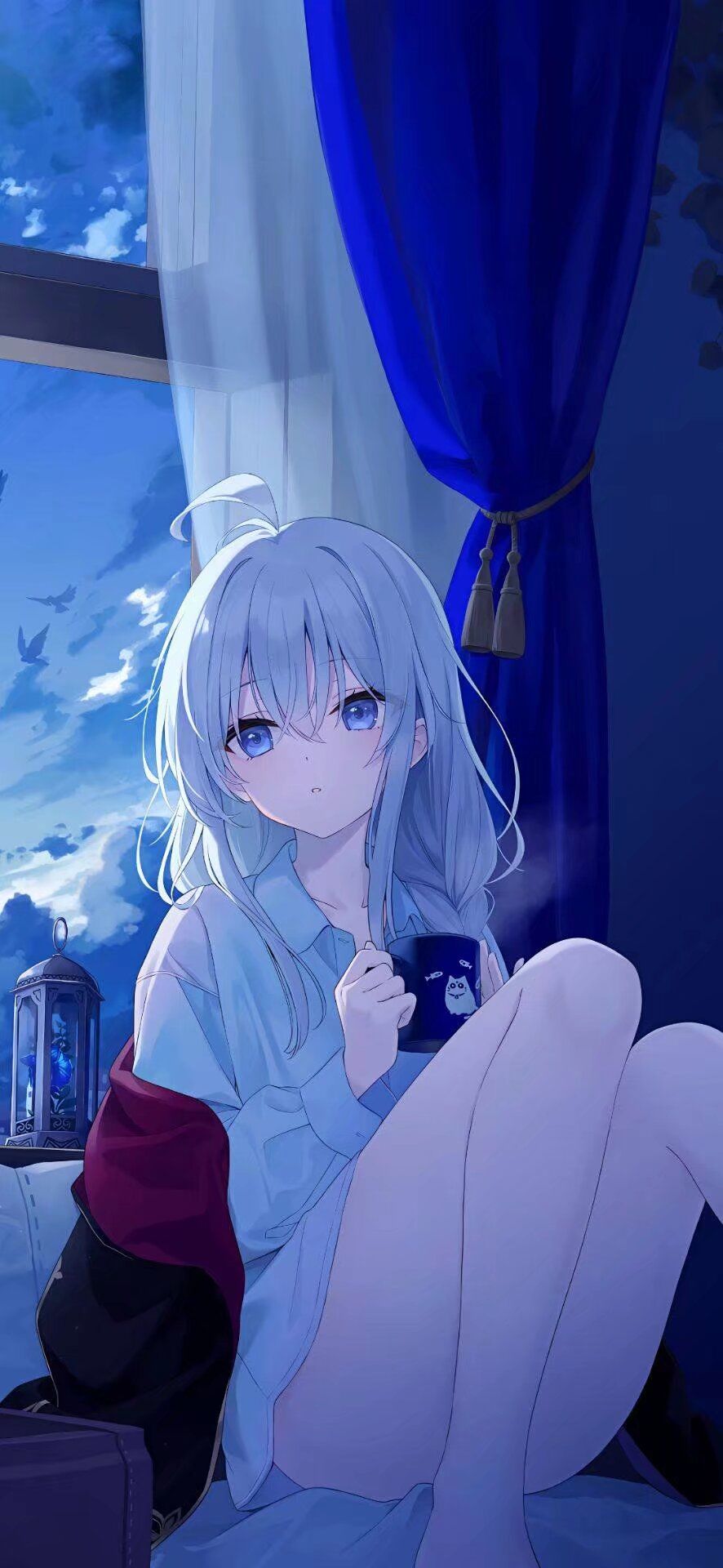 今日美图分享 6