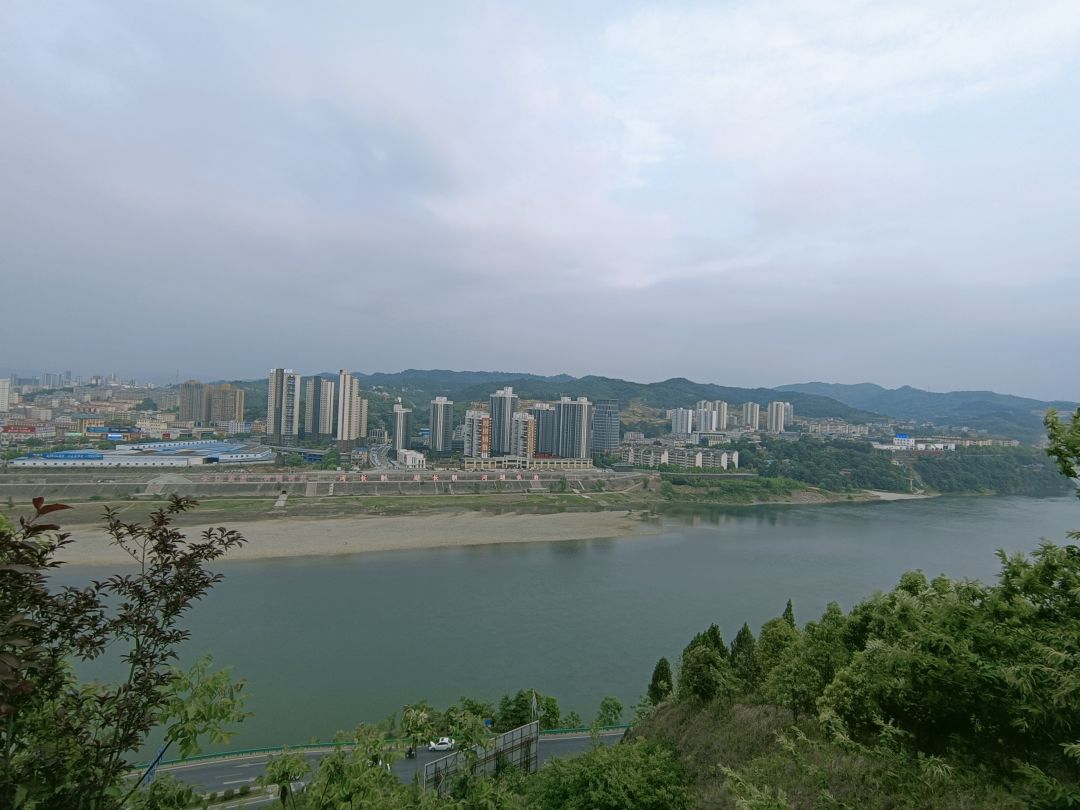 动态图片 3
