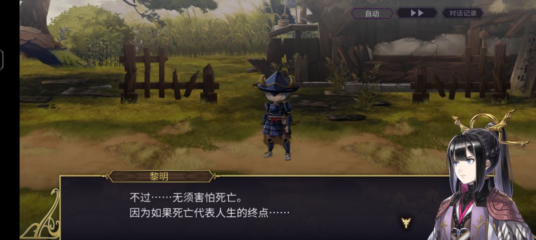 自订】艾妮专武（永夜报应＋觉醒＋玛克那梅截图