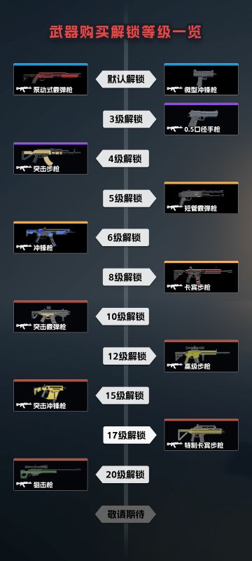 购买武器即将添加等级限制