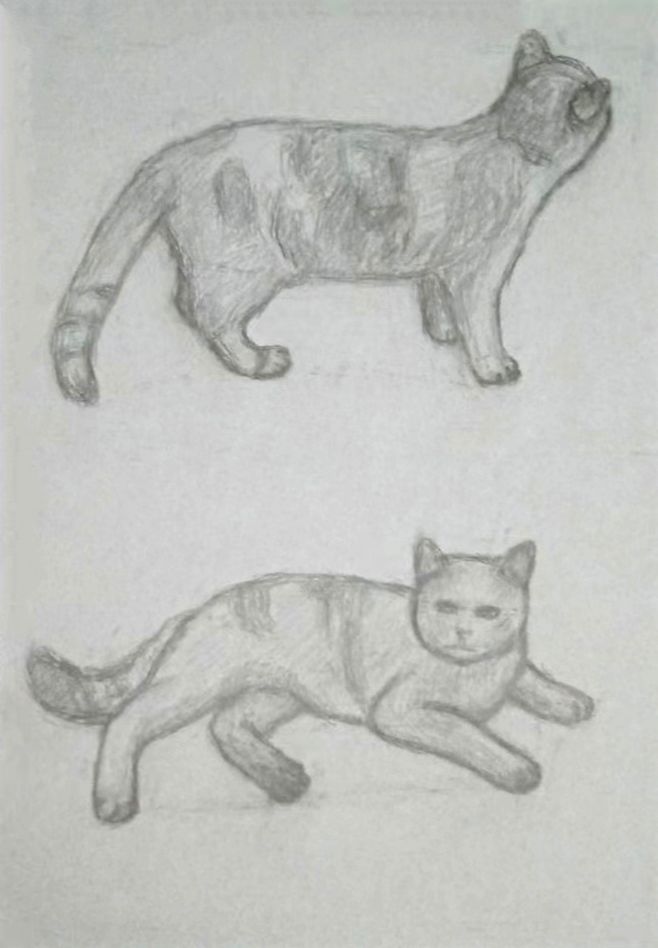 2024年8月23日自己画的猫咪素描截图