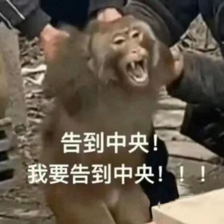 其他都很好,我就是很不理解一件事,我搁那捏脸穿搭美美哒多开心,为什么一定要有感情线?我就是少女心爆棚就想看看好看的衣服和好看的小姐姐,你放那么多男人是什么意思?怎么的,美女就一定要有男人吗?离了男人就活不了吗?第一个还是个霸总,我真服了,现在jj都不流行霸总了,一天天拽的跟个二八五一样是觉得自己很帅吗,真的乳腺都给我气通了
ps:没有说想跟帅哥搞搞恋爱这件事不好的意思,锦上添花当然是可以的,就是说截图