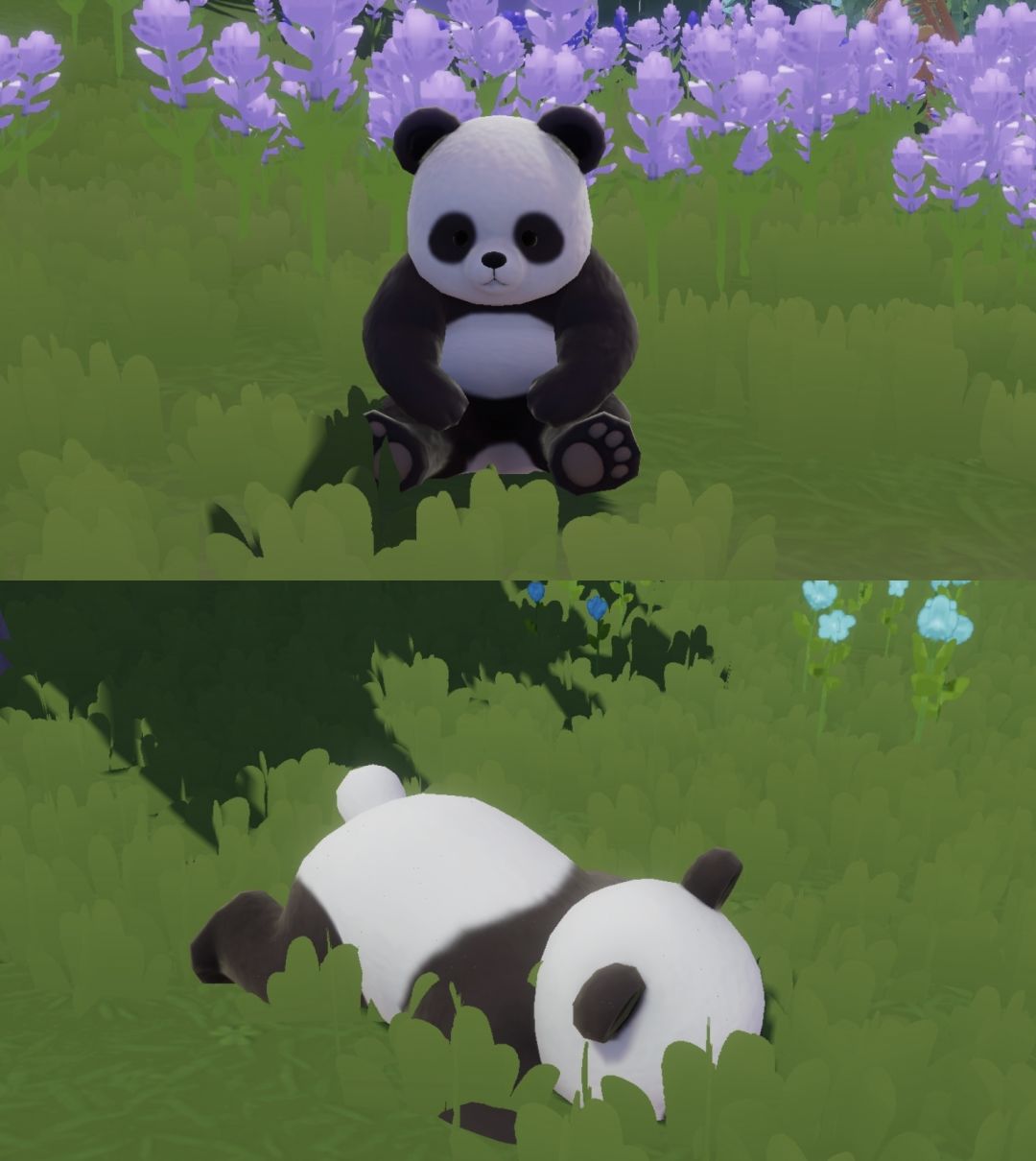 动物拟人之🐼～🎍🎋 2