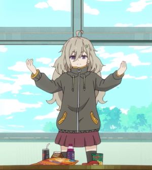 来自萌新的一点认识