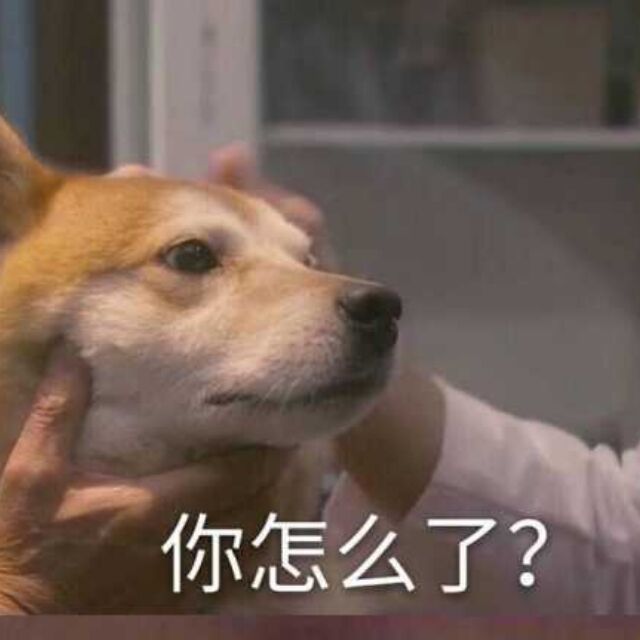 bug吗 1