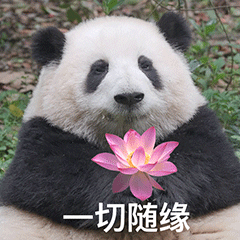 动态图片 4