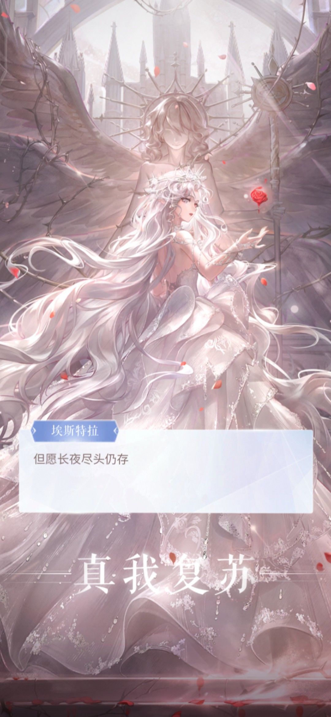 已齐复🌹 2