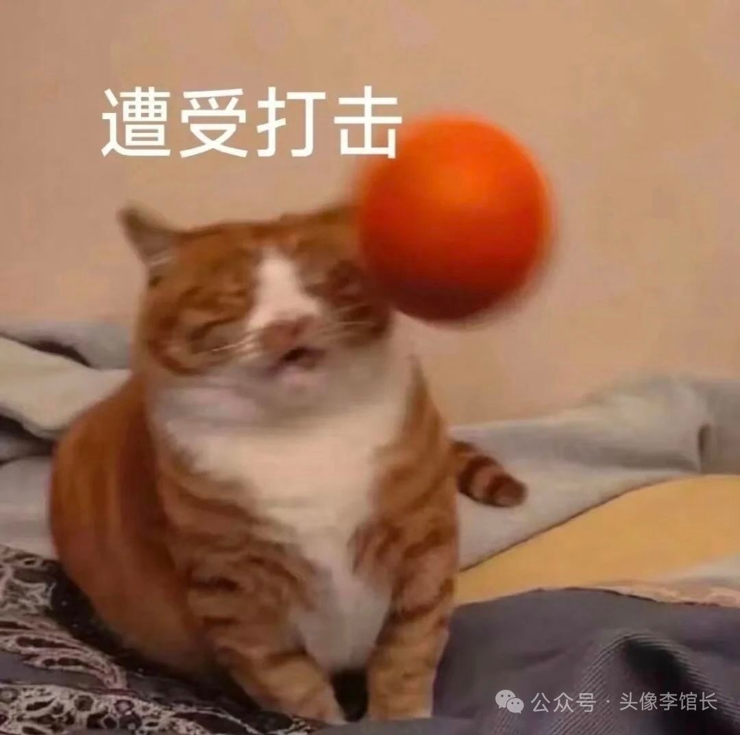 好假啊 1