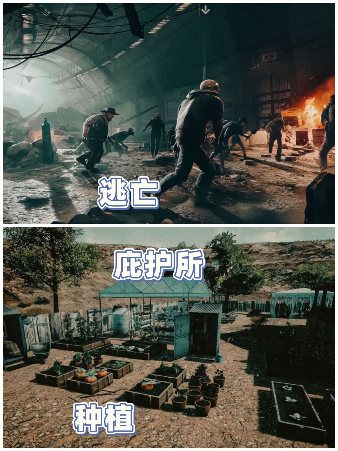 ✨又有生存游戏可以玩了,快来试试✨ 1