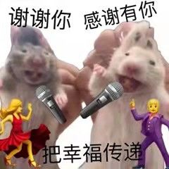 动态图片 4