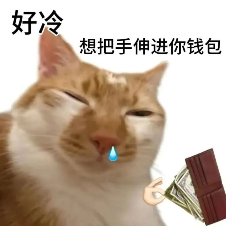 找固排队友欢乐跑刀截图