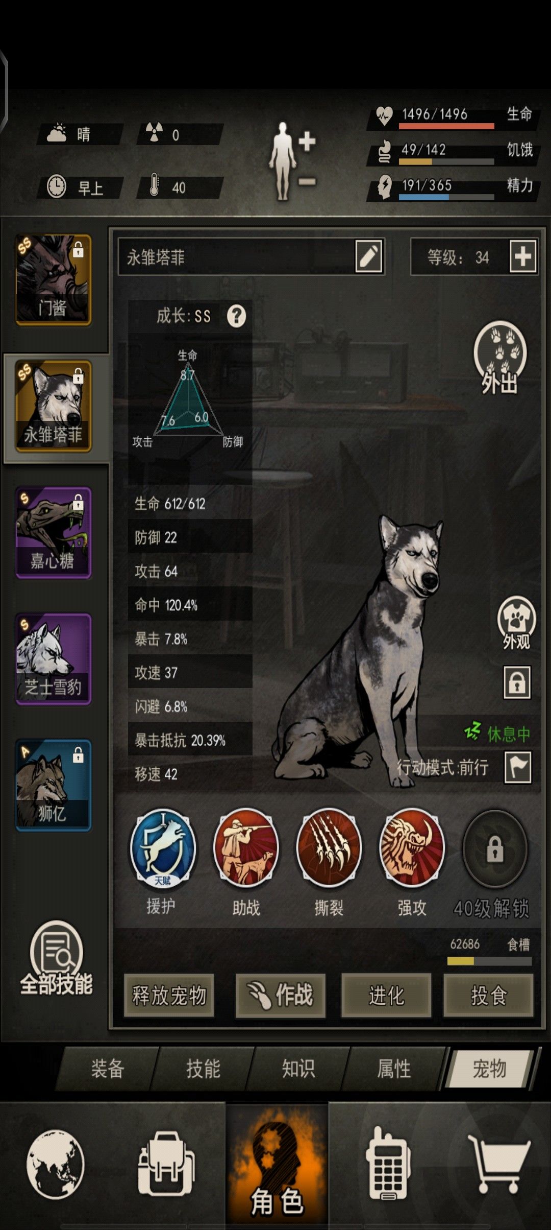 好消息:两个宠物极品属性 2