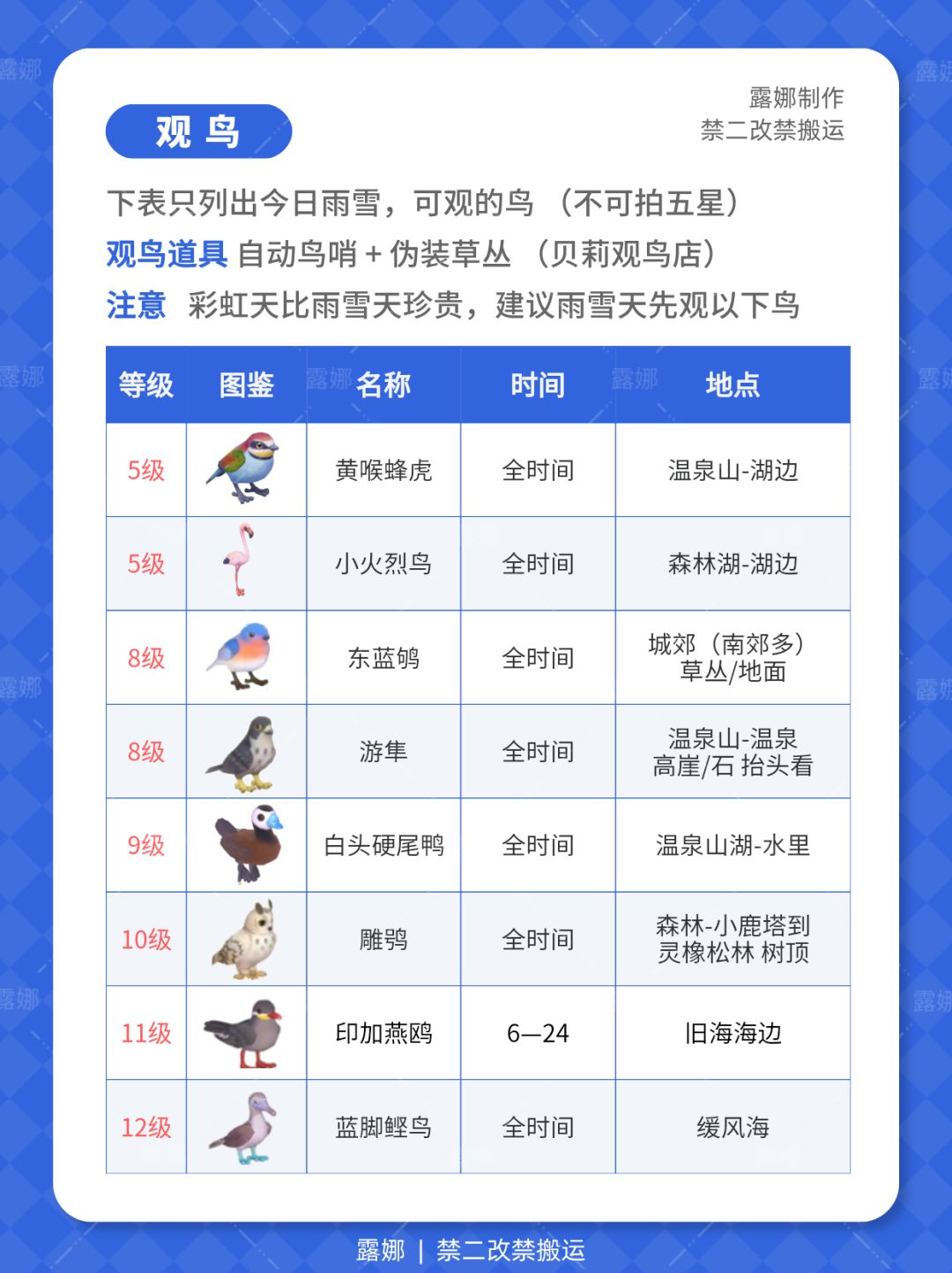 心动小镇 6月6日 下雨天必做攻略 鸟虫鱼 7
