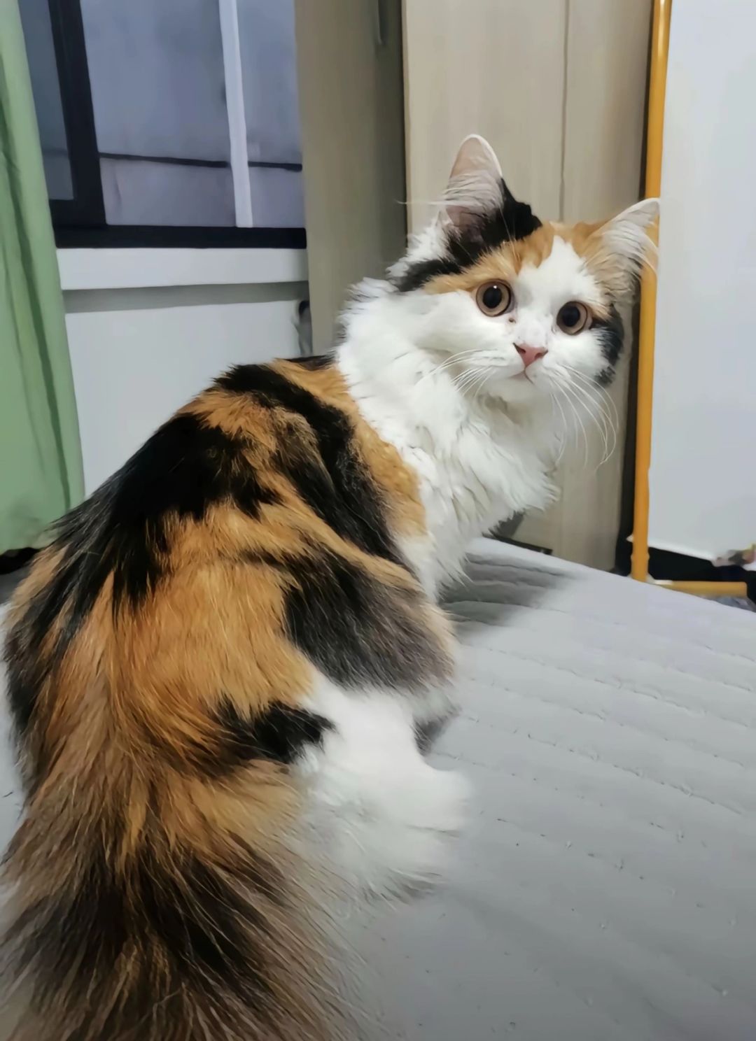 大佬们,来点好友 1